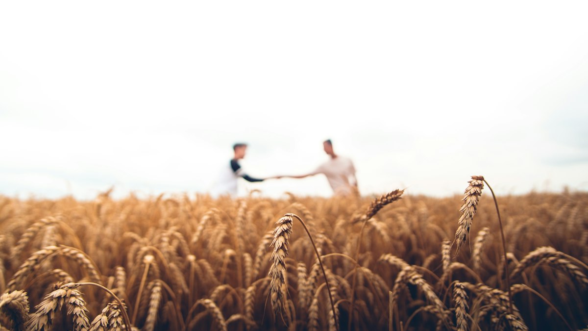 Global Commodity Trading: How Energy, Metals and Agriculture Move